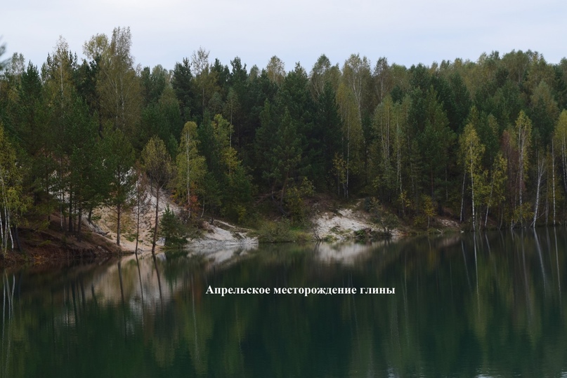 23564202.jpg